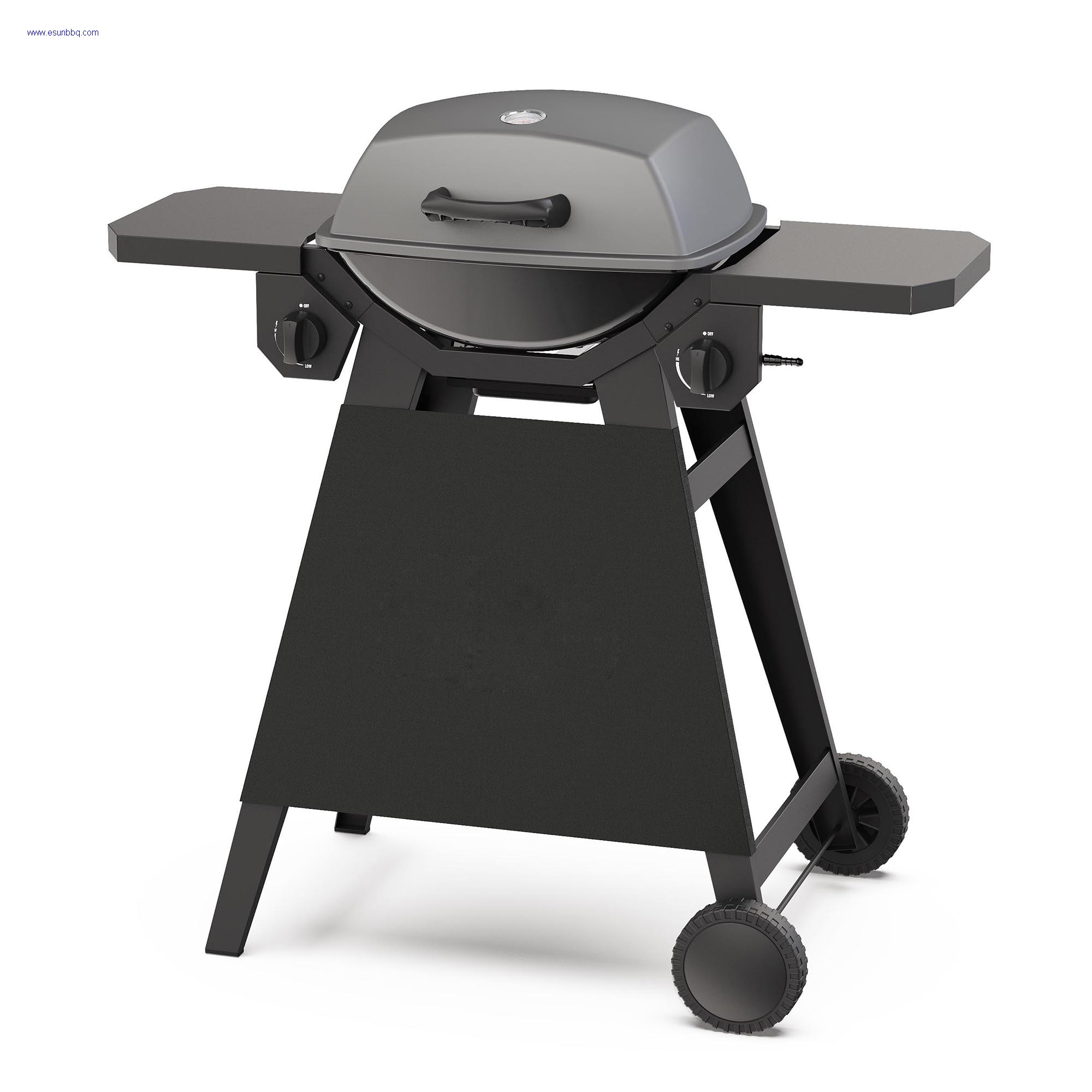 Portable 2 Burner Gas Grill