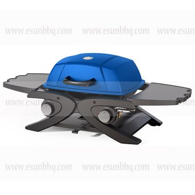 Portable Outdoor Gas Barbecue Grill