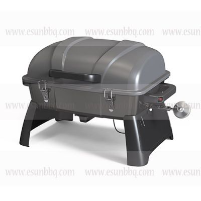 Austin Portable Gas Grill