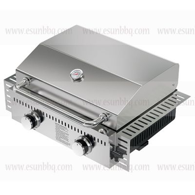 Build-in Gas Grill