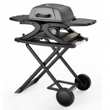 Portable Outdoor Gas Barbecue Grill